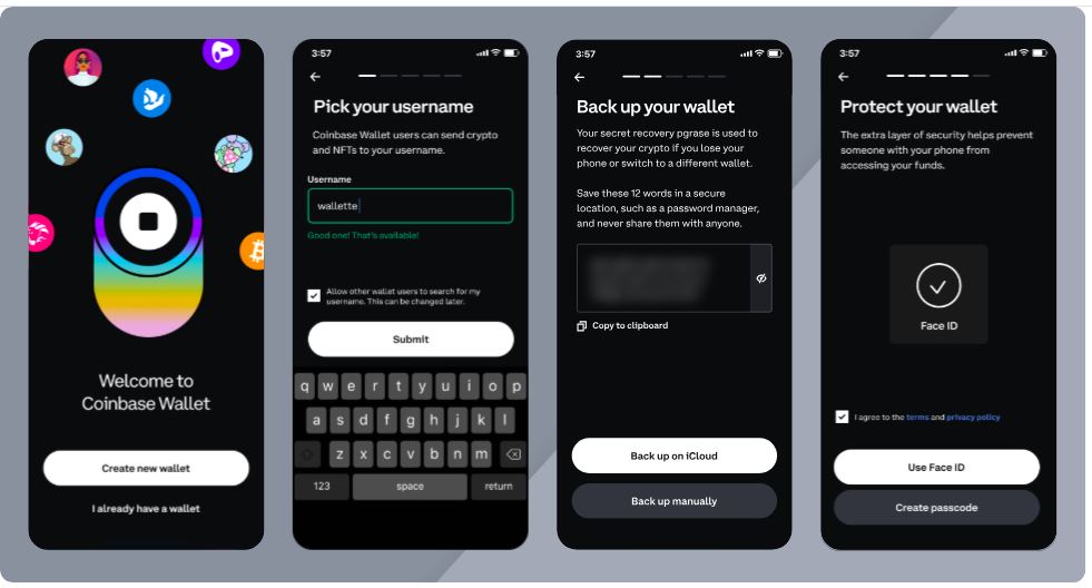 login to crypto wallet